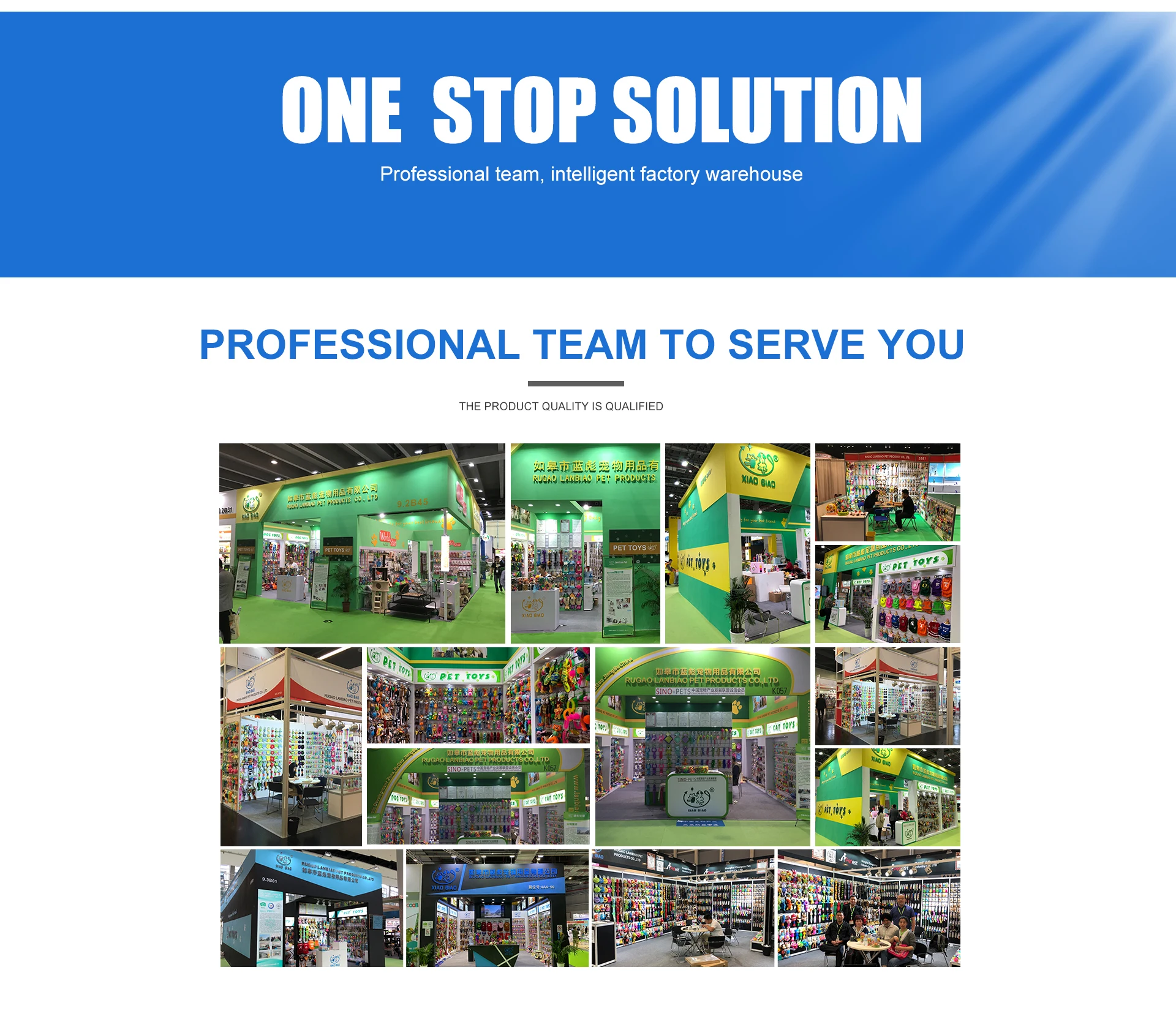 Company Overview Rugao Lanbiao Pet Products Co., Ltd.