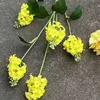 5 cabezas coreanas lila amarillo