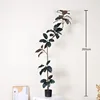 200cm