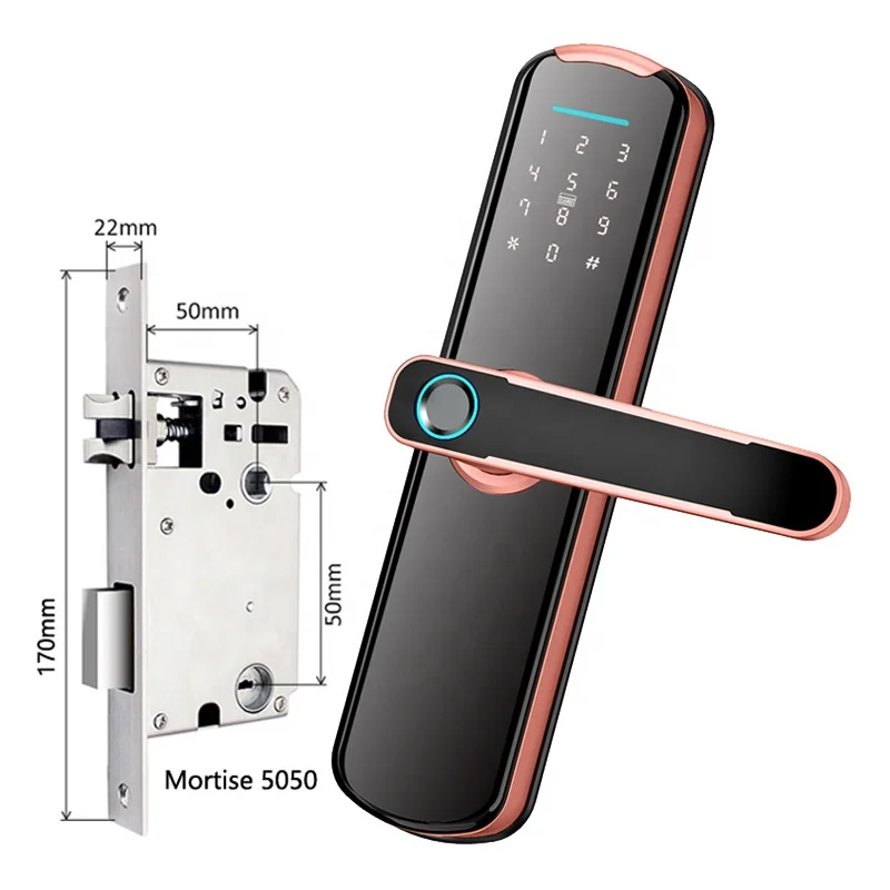 Tuya Wooden Door Smart Lock Fingerprint Security Home Electric Deadbolt Digital Card Ttlock App Biometric Fingerprint Door Lock