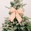 Champagne (small)