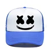 Bleu saphir et blanc