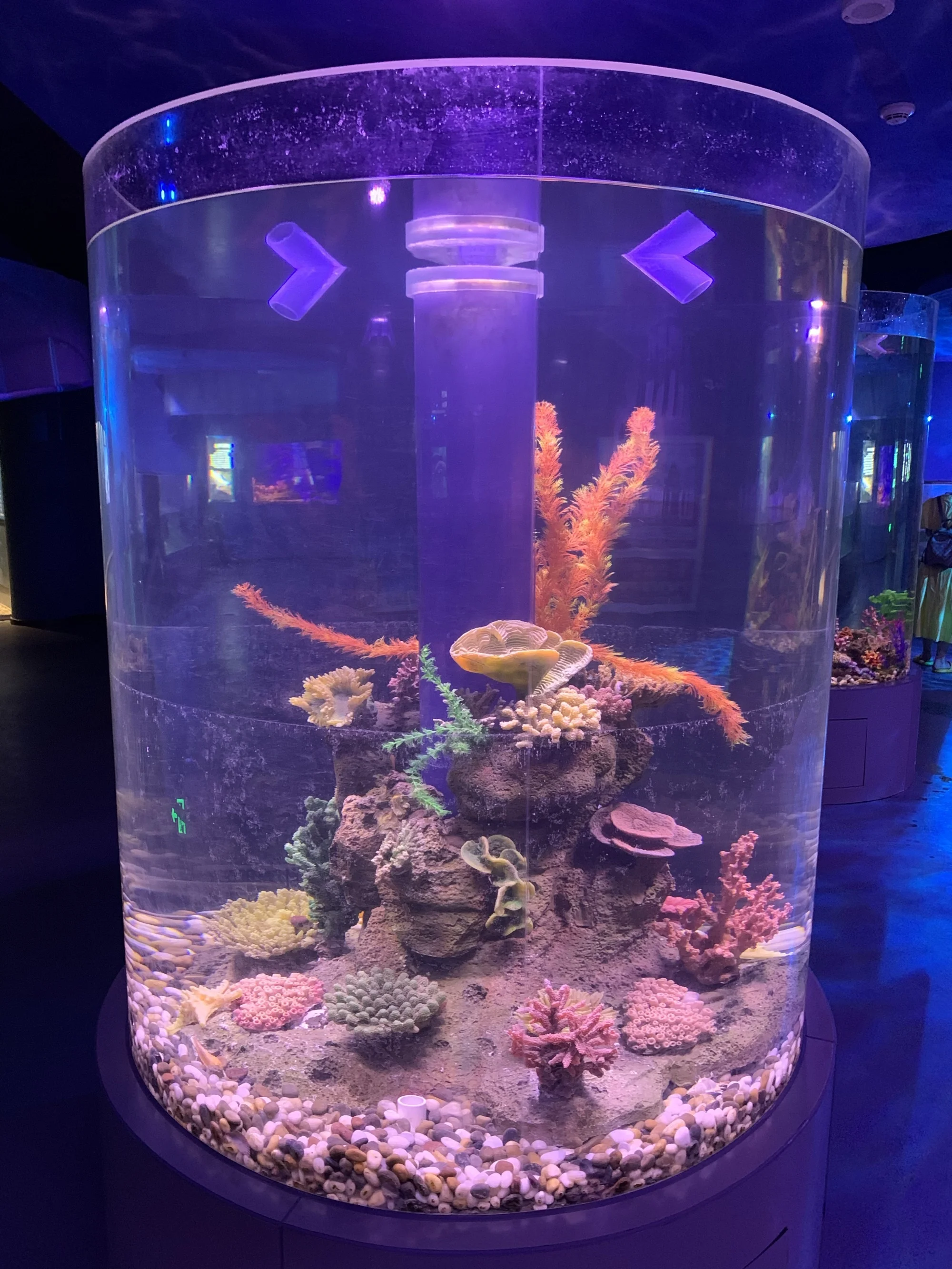 Acrylic Glass Cylinder Aquarium Price