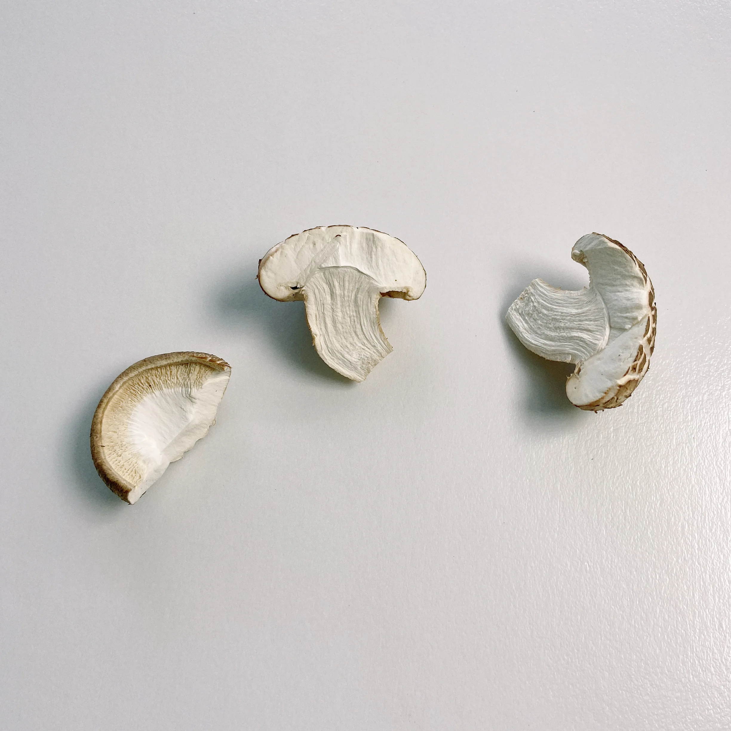 Изысканный вкусный гриб хорошего качества G r a d e A Fresh Hua Shitake