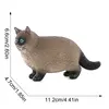 4274b chat siamois 150g