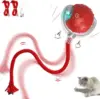 Standard Version Red