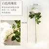 Single white rose