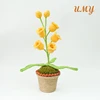 only one Bell orchid