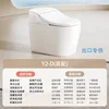 Y2-d ceramic water tank-high-end config-110v