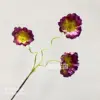 Coquelicot violet foncé