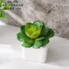 CF02249 Verde