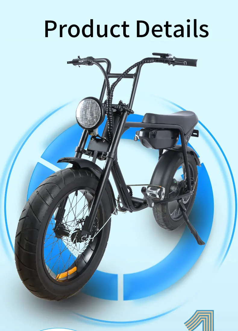 Longwise New Model 2022 Scrambler Ebike 750w Fat Tire Electric Bike Old ...