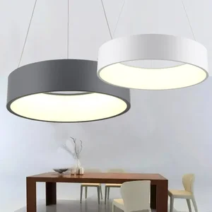 Modern Office Hanging Lamp Round Circle Nordic Office Bedroom Suspend Led Pendant Linear Light for Hotel