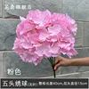 Pink 5-headed hydrangea without leaves
