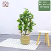 Limón de 90 cm