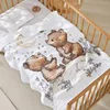 Bébé ours