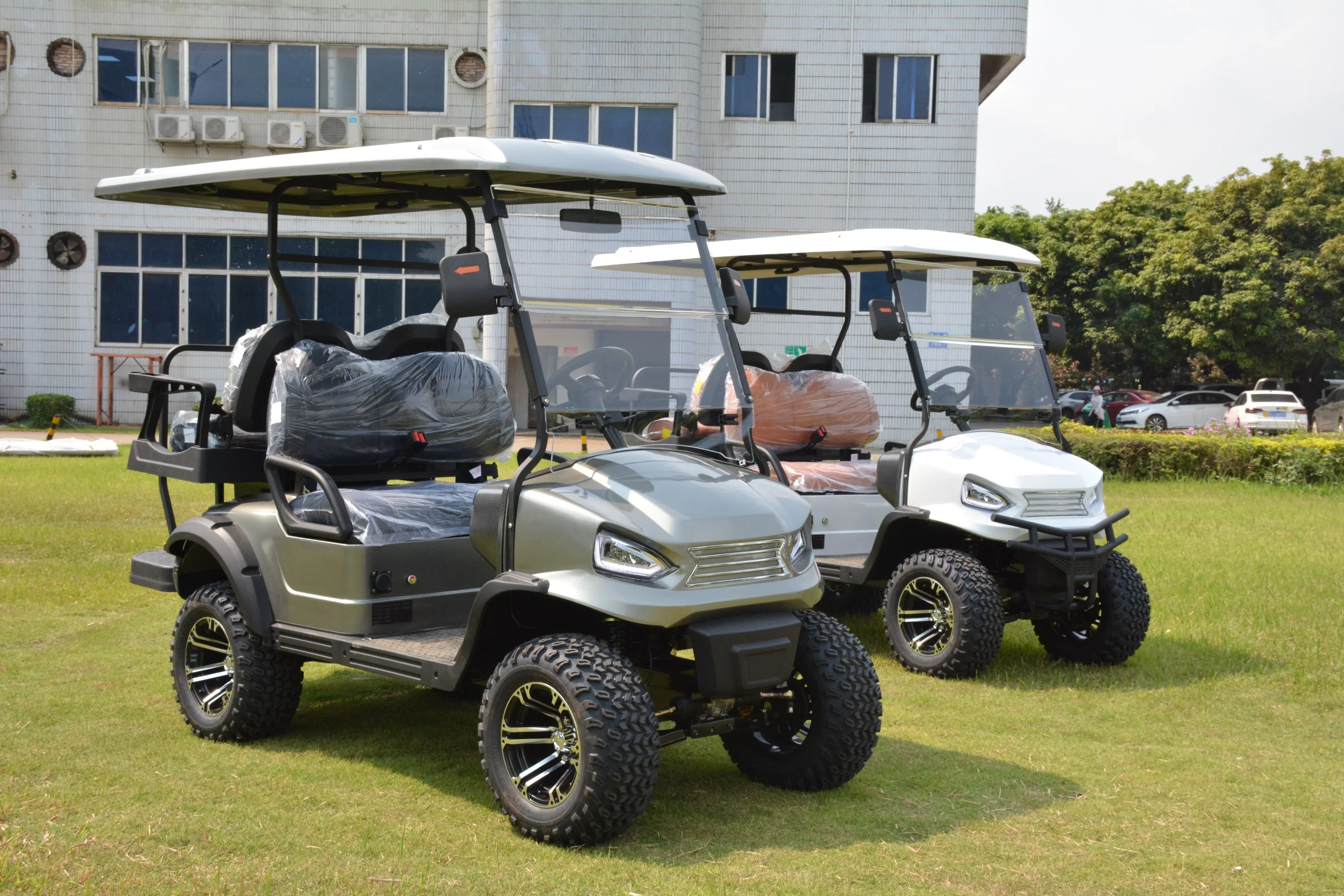 RARIRO 2+2 Electric Lifted Golf Cart Brand 2+2 seater electric smart car price