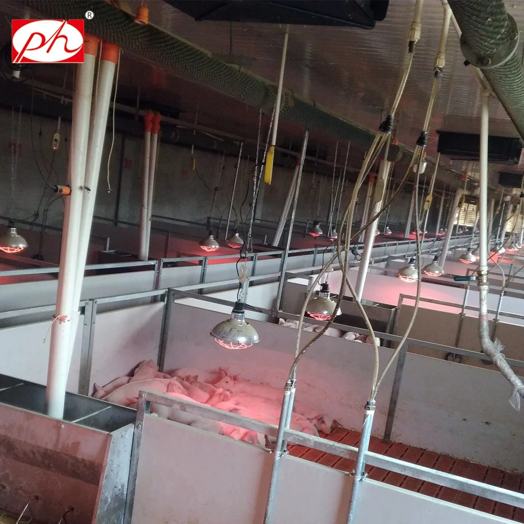 PH PVC Panel  Galvanized Weaning Crate Nursery Pen for Piglet and Weaning Crate Pig Farm Nursery Bed