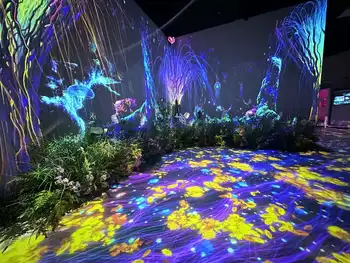 プロジェクターマッピング H50ce1148a0734c9e87e8368368992