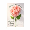 Pink-Plumeria