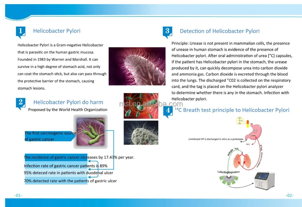 Dual Channel Helicobacter Pylori Breath Test/diagnose H. Pylori