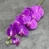 purple red