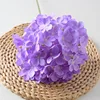 Lollipop hydrangea purple