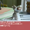 Squirrel holding a book