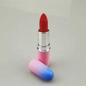 Premium Natural Mineral Beauty Lipstick Set Matte Gel Lipstick Pencil Wholesale From Guangdong