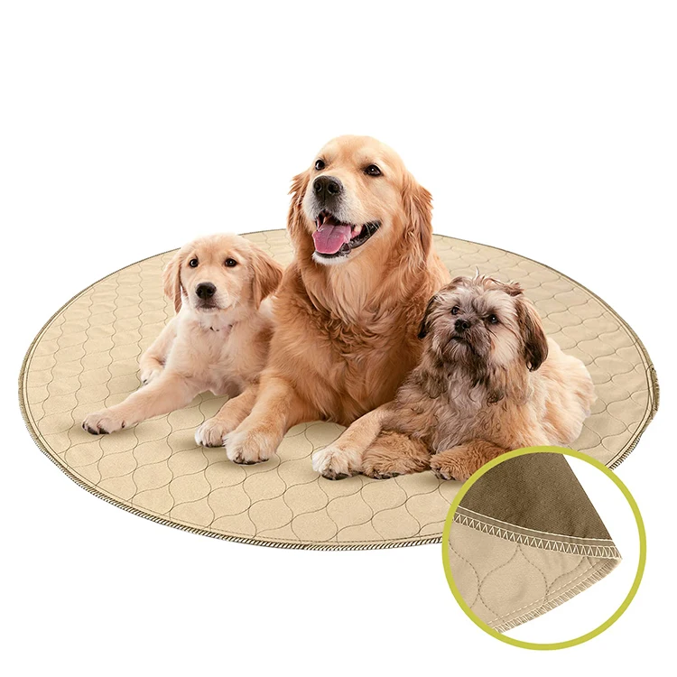 Home Puppy Training Pad