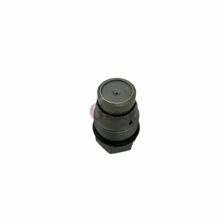 Common Rail Pressure Limiting Valve 1 110 010 028
