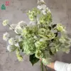 Ramo verde 1