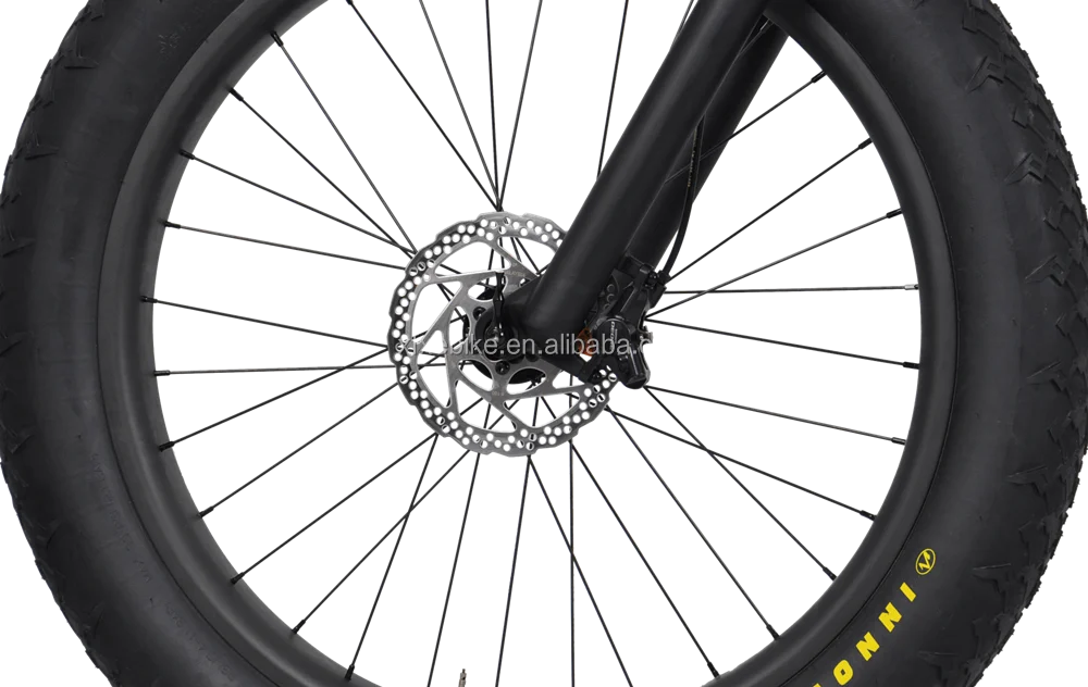 Hidden Frame 48v 1000w Mid Drive Fat Tire Ebike 26*4.0 Inch Electric ...