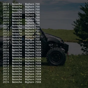 シリンダー Assy ピストンキットリング HISUN HS700cc HS 700 ATV UTV