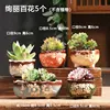 5-piece set of gorgeous flowers