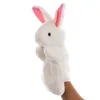 Lapin blanc