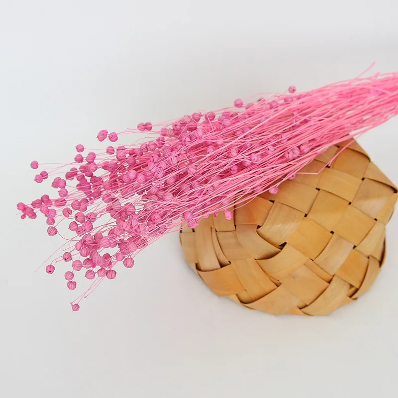 Wholesale Top Quality Jequirity Bean Dry Jumble Beads Bouquet Bulk Dried Flowers Decoration