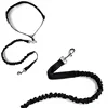 Dog Leash 11