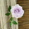 Purple 4