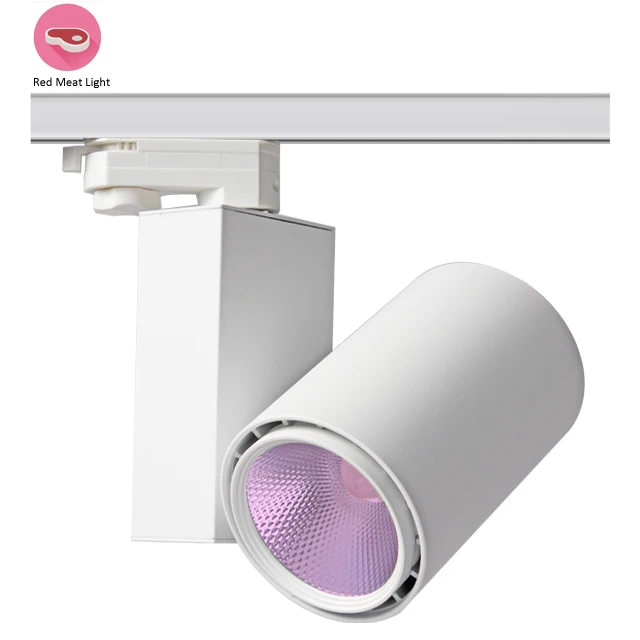 Food Track Led Light Rail Lighting 30W Spotlight for Meat Fish Beef Chicken