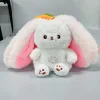 carrot rabbit
