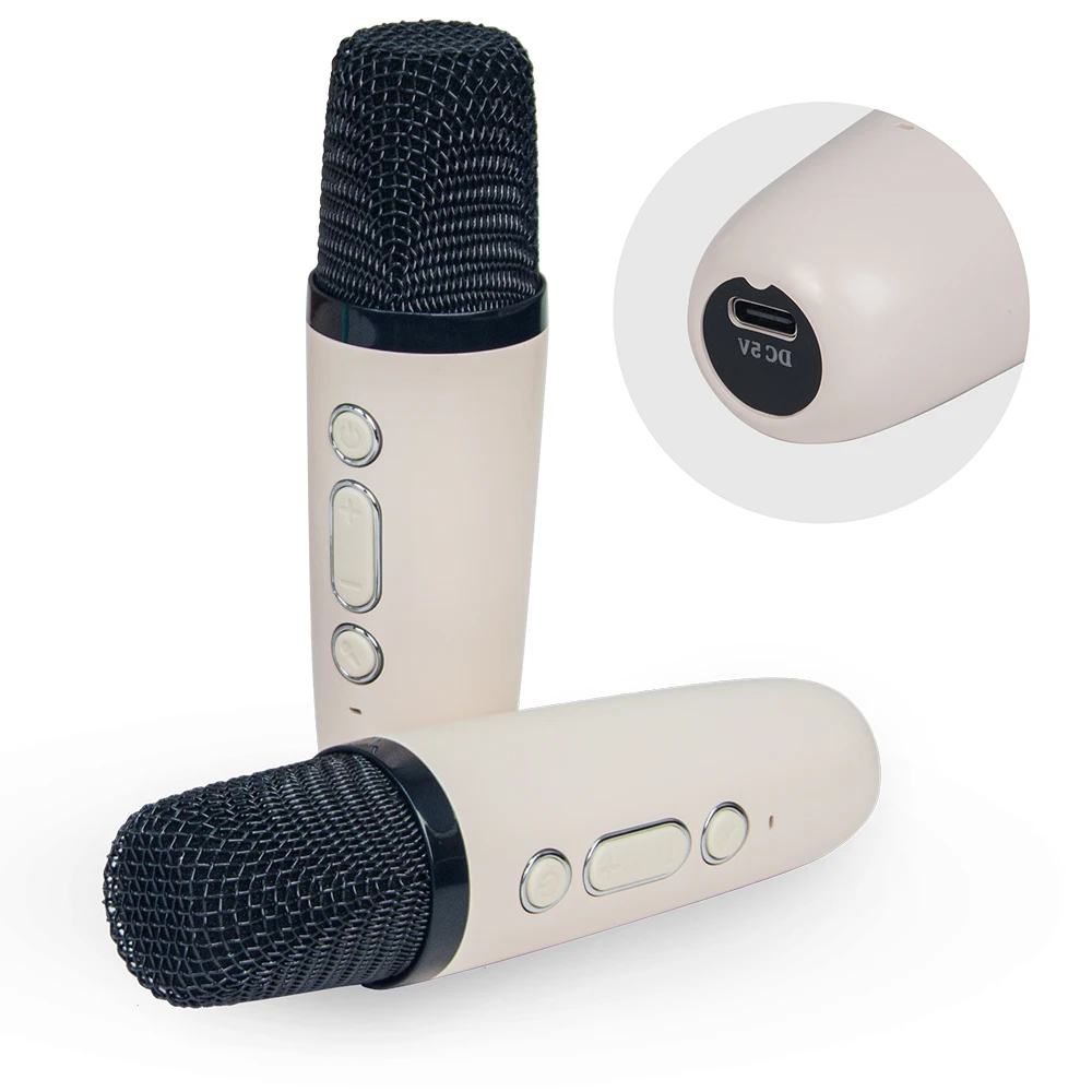 FANSBE Outdoor Portable Sound Mini Wireless Karaoke Bluetooth Speaker Wireless With 2 Microphone