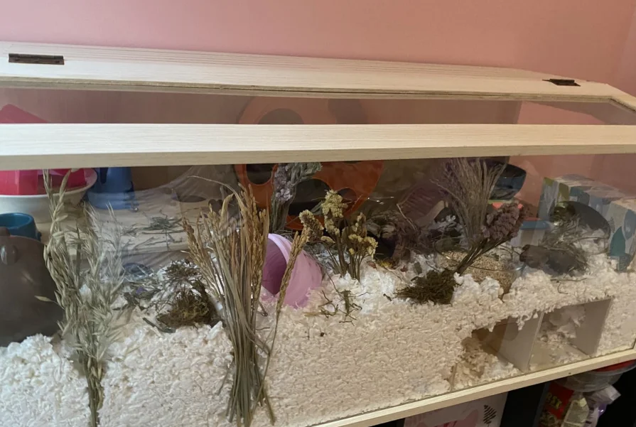 Wooden Hamster Secret Peep Shed 2-Chamber Hideout & Tunnel Exploring Toys for Syrian and Dwarf Hamster