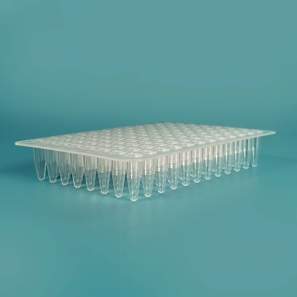 0.2ml PCR Plate  - .jpg