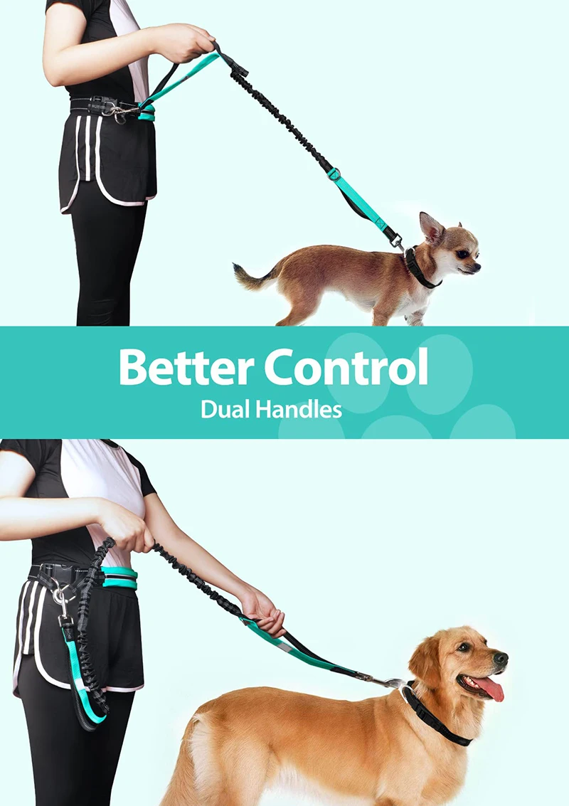 Reflective Pet Leash Lead Adjustable Running Training Bungee Hand Free