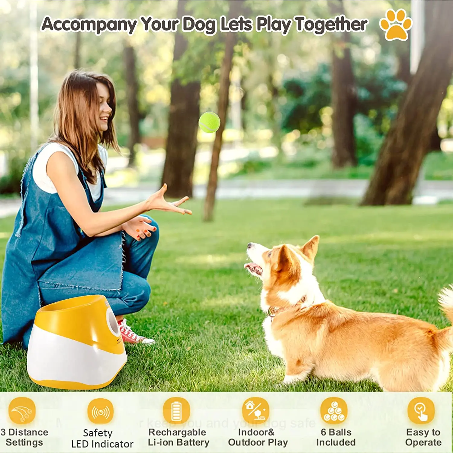 Automatic Ball Fetch Machine Throwing Training Dog Toy Interactive ...