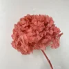 Rosso anguria