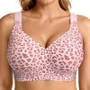 Leopardo rosa