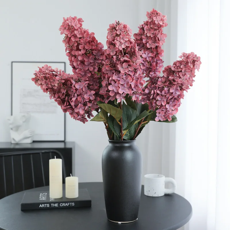 Autumn Color Cone Hydrangea - Perfect for All Occasions