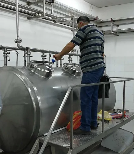 Offer Tomato Paste Making Machine Processing Chain Plate Elevator Turn Key Production Line
